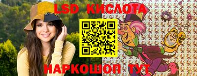 a pvp Новозыбков