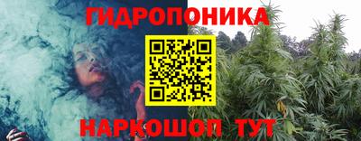 a pvp Новозыбков