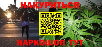 a pvp Новозыбков
