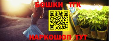 a pvp Новозыбков