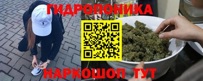 MDMA Новодвинск