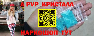 a pvp Новозыбков