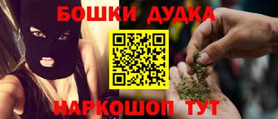 a pvp Новозыбков