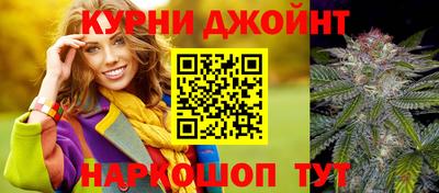 a pvp Новозыбков