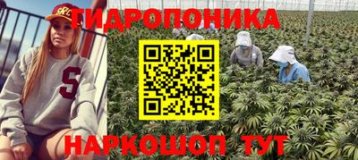 MDMA Новодвинск