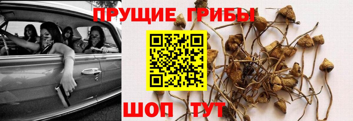 Скопин  магазин продажи   Вход с VPN  Псилоцибиновые грибы Magic Shrooms  Галлюциногенные грибы Psilocybine cubensis 